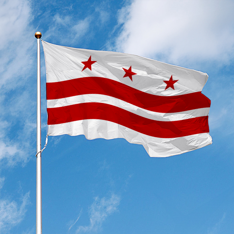 Washington DC Flag